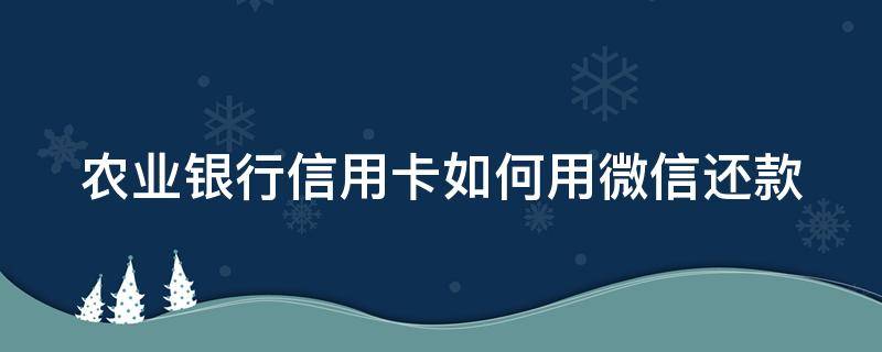 农业银行信用卡如何用微信还款（农业银行信用卡如何用微信还款方式）