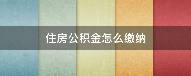 住房公积金怎么缴纳（个人住房公积金怎么缴纳）