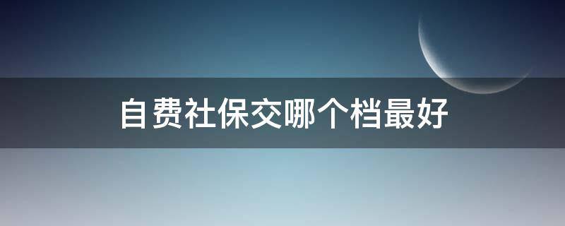 自费社保交哪个档最好（自费社保一年需交多少钱）