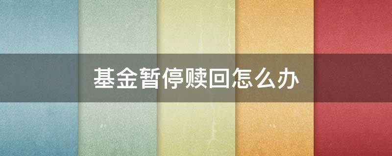 基金暂停赎回怎么办 基金暂停赎回怎么办理手续