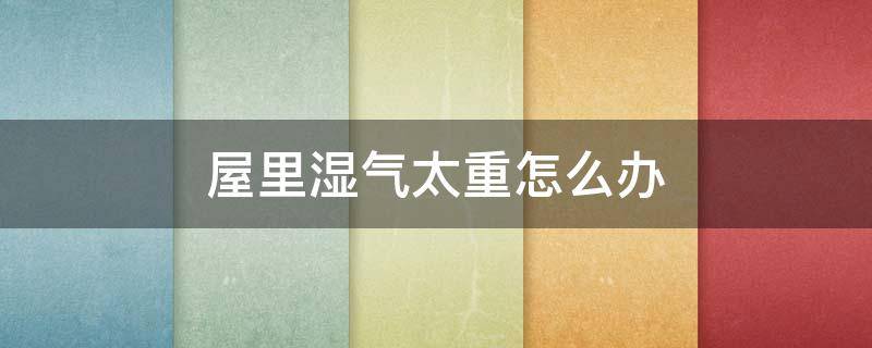 屋里湿气太重怎么办（屋里湿气太重了如何快速除湿）