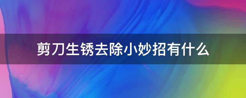 剪刀生锈去除小妙招有什么（剪刀生锈怎么除锈）