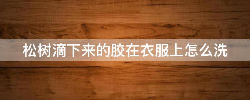 松树滴下来的胶在衣服上怎么洗（松树上流出的胶水能食用吗）