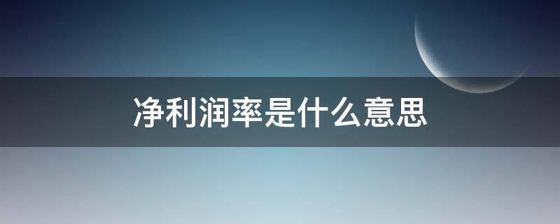 净利润率是什么意思 资本金净利润率是什么意思