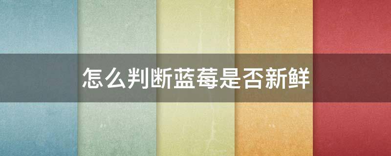 怎么判断蓝莓是否新鲜（怎么判断蓝莓是否新鲜的）
