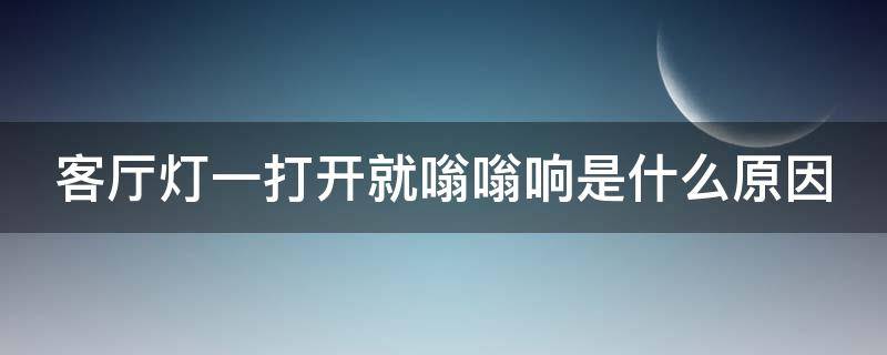 客厅灯一打开就嗡嗡响是什么原因 客厅灯开一会儿响