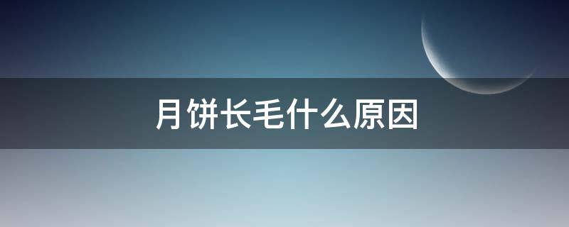 月饼长毛什么原因 月饼长毛什么原因呢