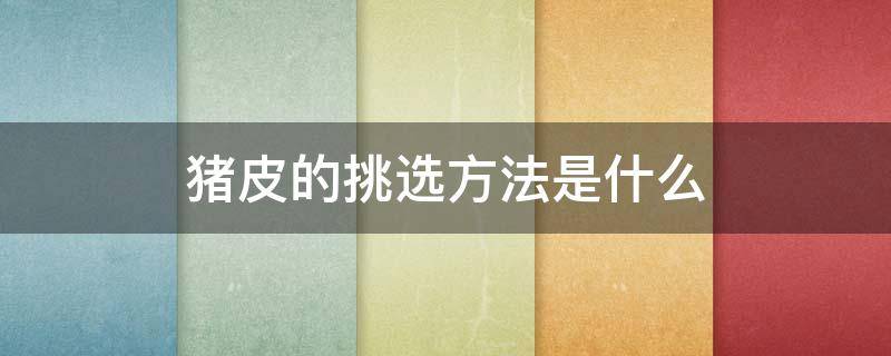 猪皮的挑选方法是什么（猪皮的挑选方法是什么样的）