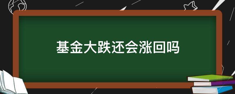 基金大跌还会涨回吗 基金大跌还会涨回吗知乎