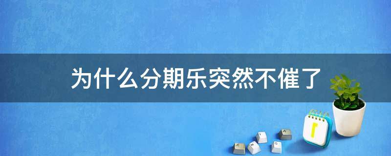 为什么分期乐突然不催了 分期乐为什么不给借钱了