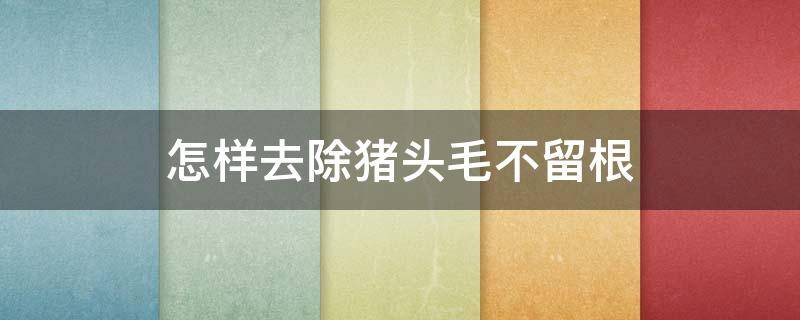 怎样去除猪头毛不留根 怎样去除猪头毛不留根视频