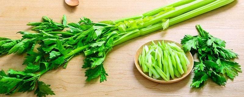 芹菜苗怎么做好吃 芹菜苗怎么做好吃窍门