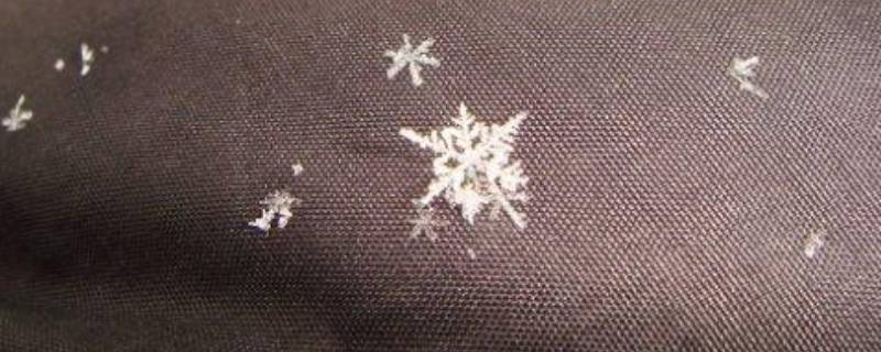 雪的形状是什么样子的（雪的形状是什么样子的像什么）