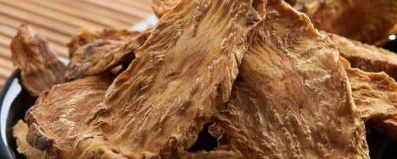 肉苁蓉是什么功效（肉苁蓉的作用和效果）