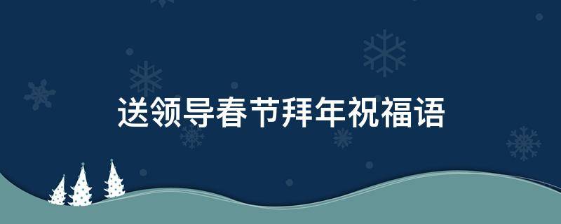 送领导春节拜年祝福语（送领导春节拜年祝福语大全）
