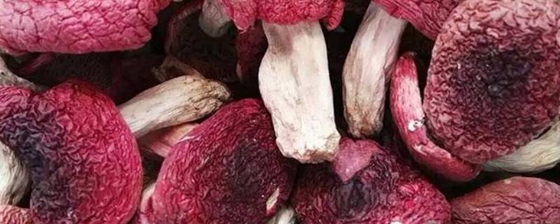 干红菇一般煮多久能吃（红菇要怎么煮最正确最有营养）