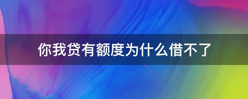 你我贷有额度为什么借不了 你我贷有额度借不出来什么意思