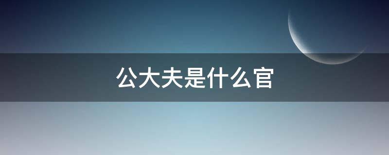 公大夫是什么官 公大夫的官职