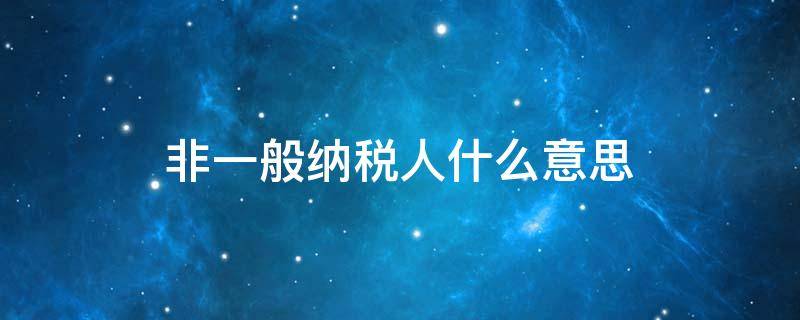 非一般纳税人什么意思（什么叫非一般纳税人）