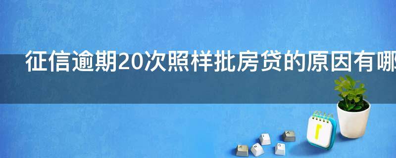 征信逾期20次照样批房贷的原因有哪些 征信逾期20次照样批房贷的原因有哪些呢