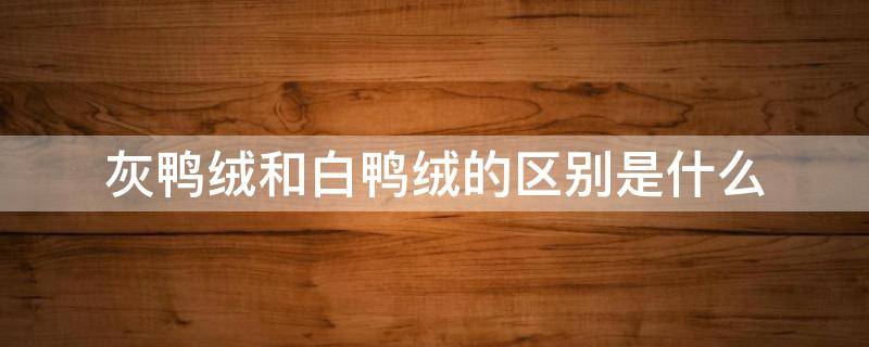 灰鸭绒和白鸭绒的区别是什么（灰鸭绒是不是最差的）
