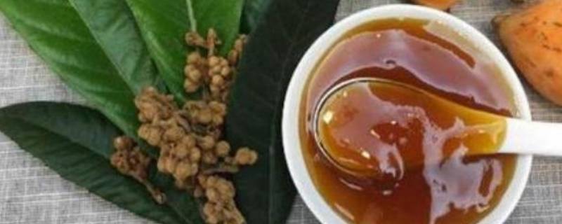 枇杷水怎么熬 枇杷水怎么熬制
