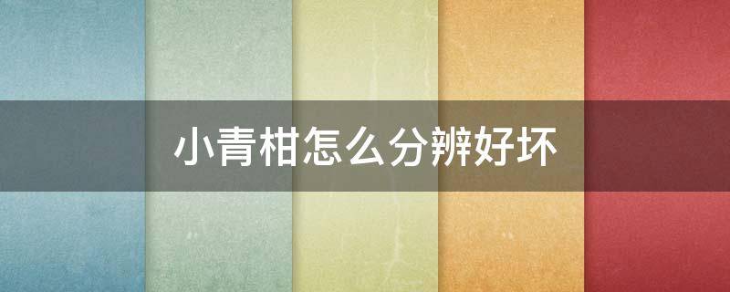 小青柑怎么分辨好坏（小青柑怎么分辨好坏图片）