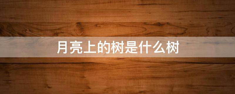 月亮上的树是什么树（月亮上的树是什么树呢）