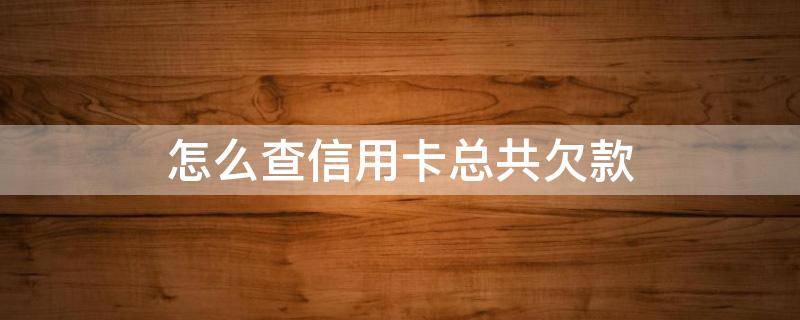 怎么查信用卡总共欠款（信用卡全部欠款在哪查）