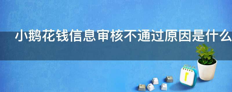 小鹅花钱信息审核不通过原因是什么