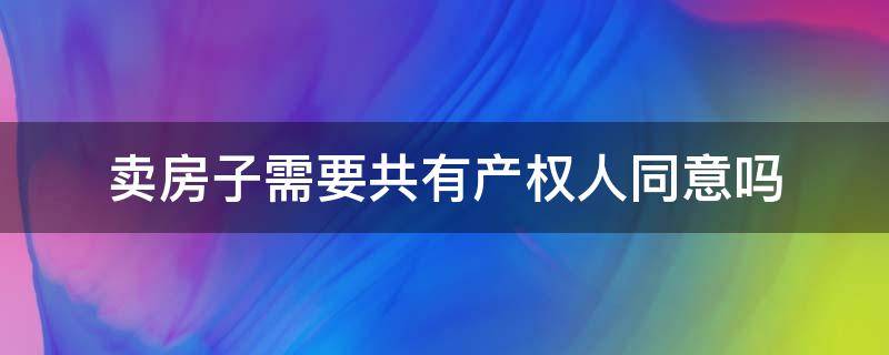 卖房子需要共有产权人同意吗（卖房子需要共有产权人同意吗合法吗）