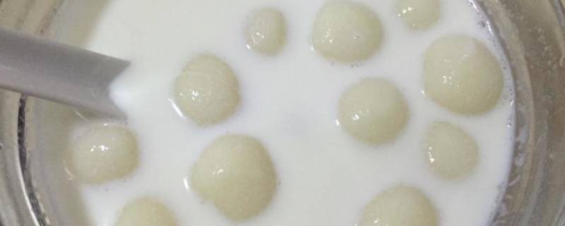 牛奶煮汤圆可以吃吗（牛奶煮汤圆有什么忌讳）