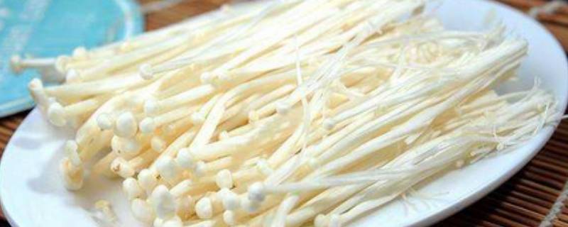 隔夜金针菇可以吃吗（隔了夜的金针菇还能吃吗）