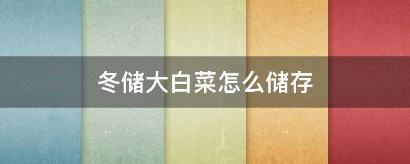 冬储大白菜怎么储存（冬储大白菜怎么储存不会坏）