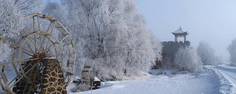 雪的作用有哪些 雪的作用是什么试着总结一下