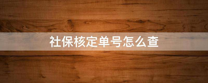 社保核定单号怎么查（社保核定单号怎么查）
