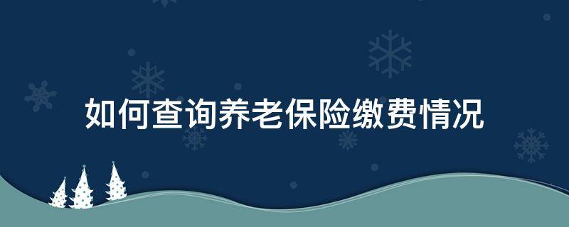 如何查询养老保险缴费情况 个人养老缴费明细查询