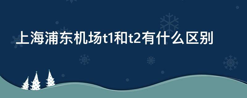上海浦东机场t1和t2有什么区别 上海浦东机场t1和t2同一个机场吗