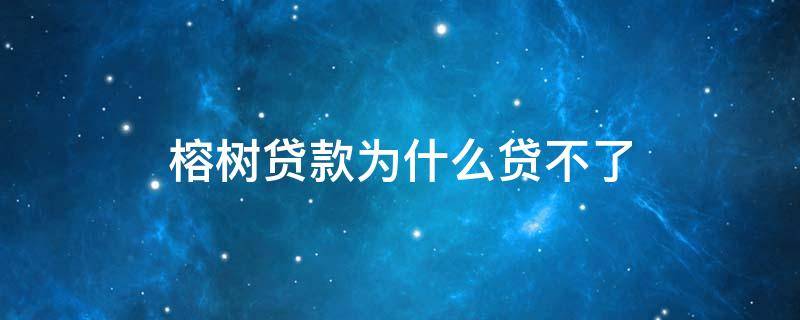 榕树贷款为什么贷不了 榕树贷款有额度借不出来