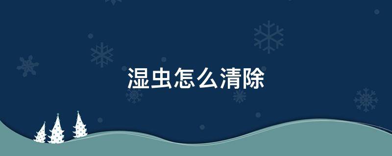 湿虫怎么清除（湿虫怎么清除用什么药）