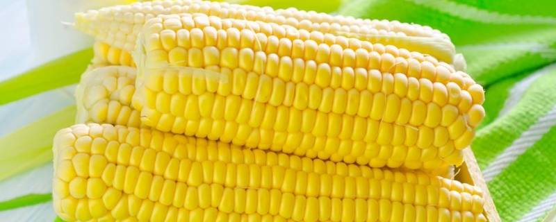 冷冻玉米煮多久能熟了 冷冻玉米煮多久能熟了吃