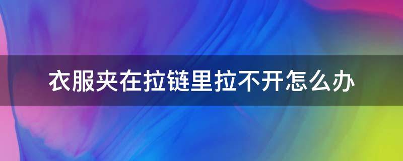 衣服夹在拉链里拉不开怎么办（衣服夹在拉链里拉不开怎么办小妙招）