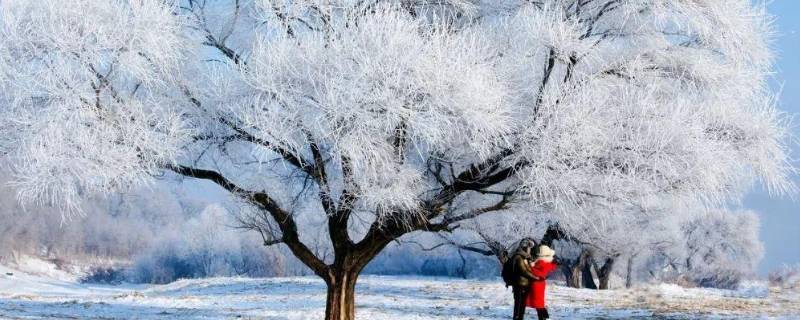 人工造雪原理 吸水树脂实验人工造雪原理