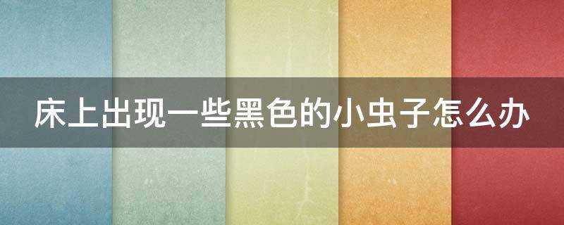 床上出现一些黑色的小虫子怎么办 床上出现一些黑色的小虫子怎么办图片