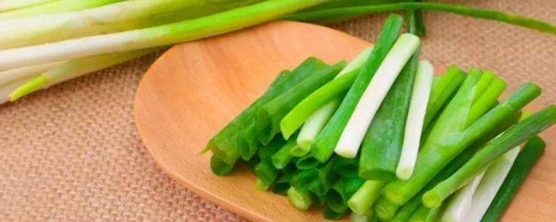 葱怎么储存放的时间长（葱怎么储存放的时间长一些）