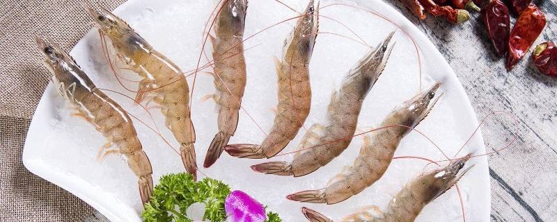 海白虾是海虾吗 怎么辨别海虾和淡水虾
