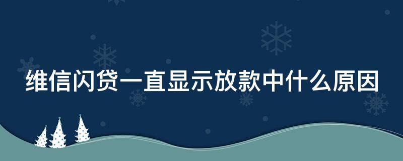 维信闪贷一直显示放款中什么原因 维信闪贷一直显示放款中什么原因呢