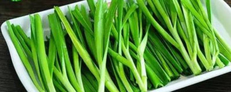 韭菜味道怎么去除 韭菜异味怎么去除