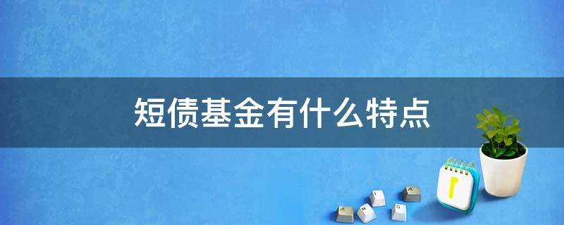 短债基金有什么特点 短债基金有什么特点吗
