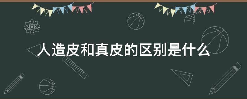 人造皮和真皮的区别是什么 人造皮和真皮的区别是什么呢